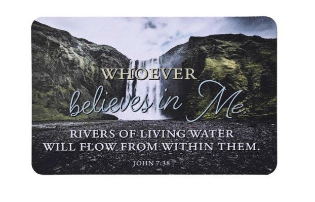 560-0361 Product Image 1