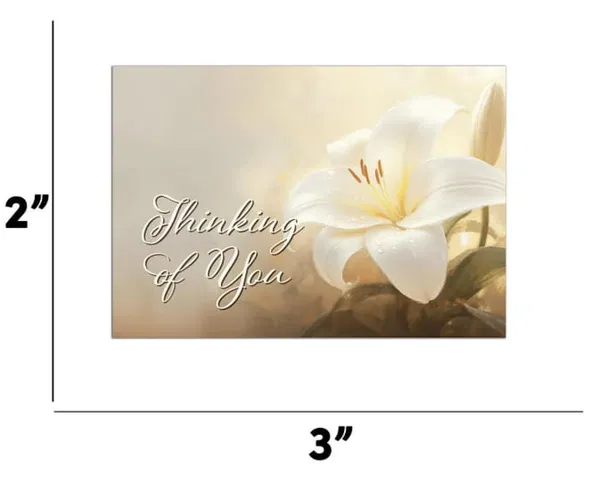 560-0399 Product Image 3