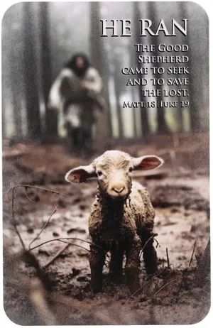 Pocketcard He Ran Matthew 18:12-14