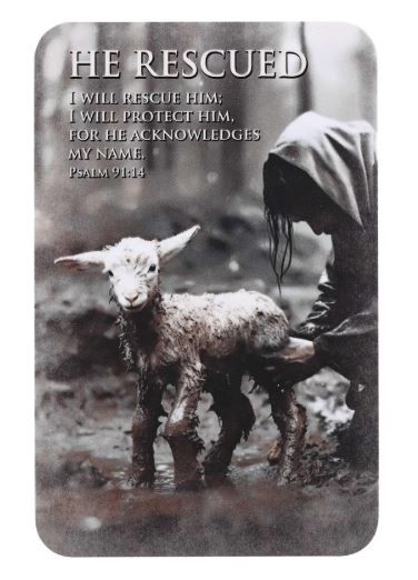 Product 560-1004 - View 1 560-1004 Product Image 1