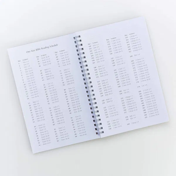 600-0253 Product Image 2