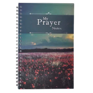 MY PRAYER NOTES