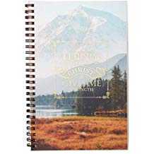 600-0323 Product Image 1