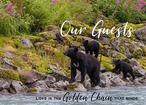 Guest Book Golden Chain