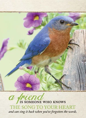 Handy Tablet: Bluebird