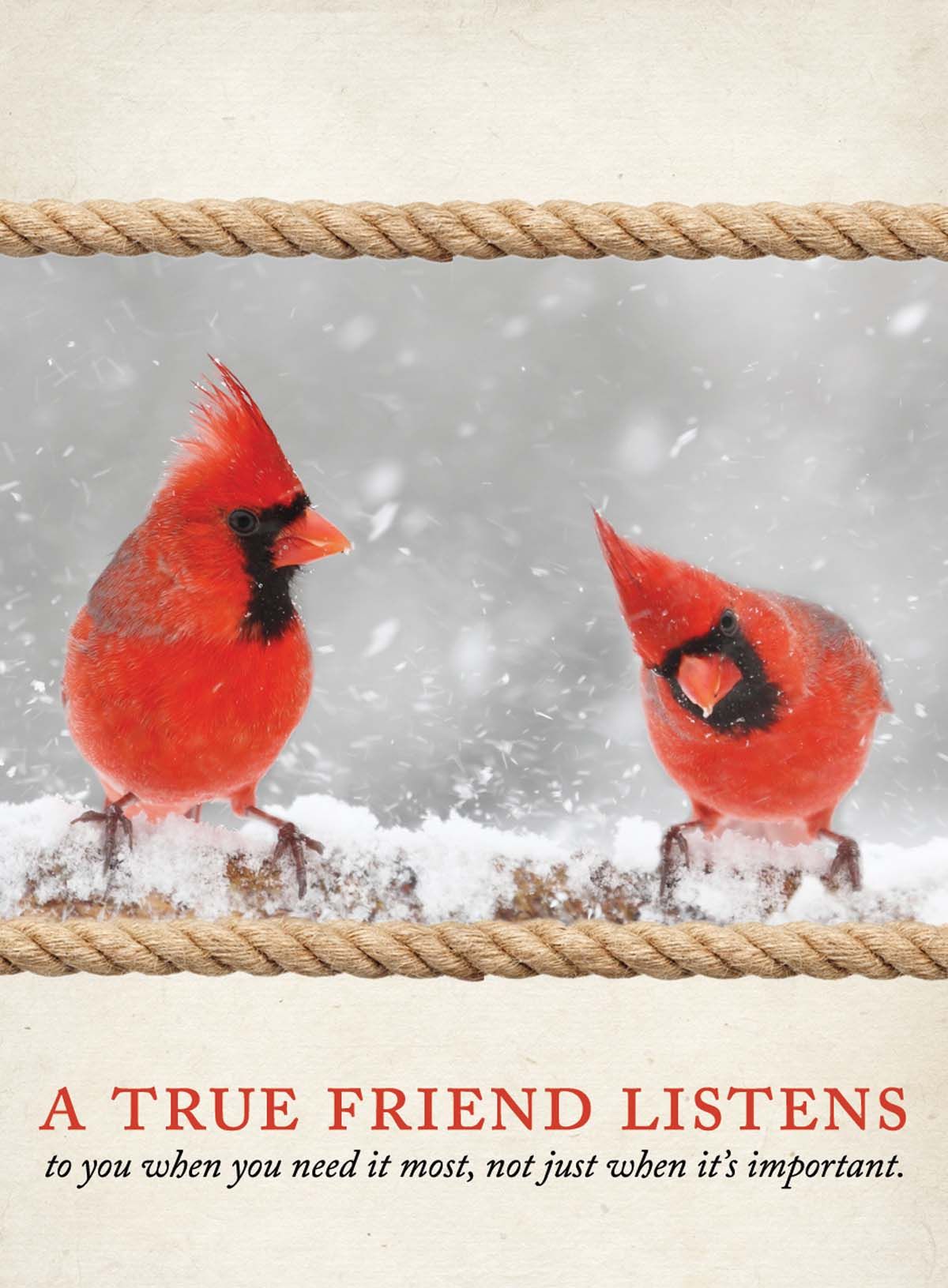 602-0512 Product Image 1