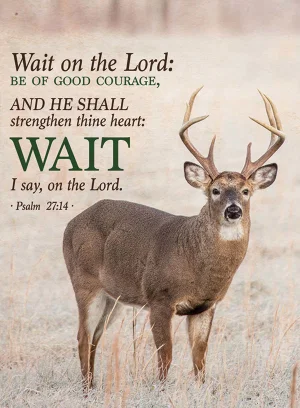 Whitetail Handy Tablet