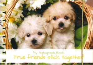 Autograph Book: Stick Together