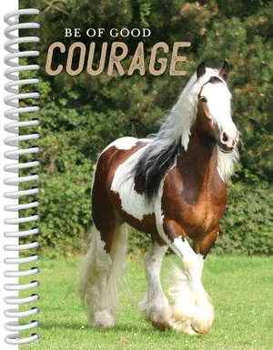 Fun Tablet Horse Be of Good Courage