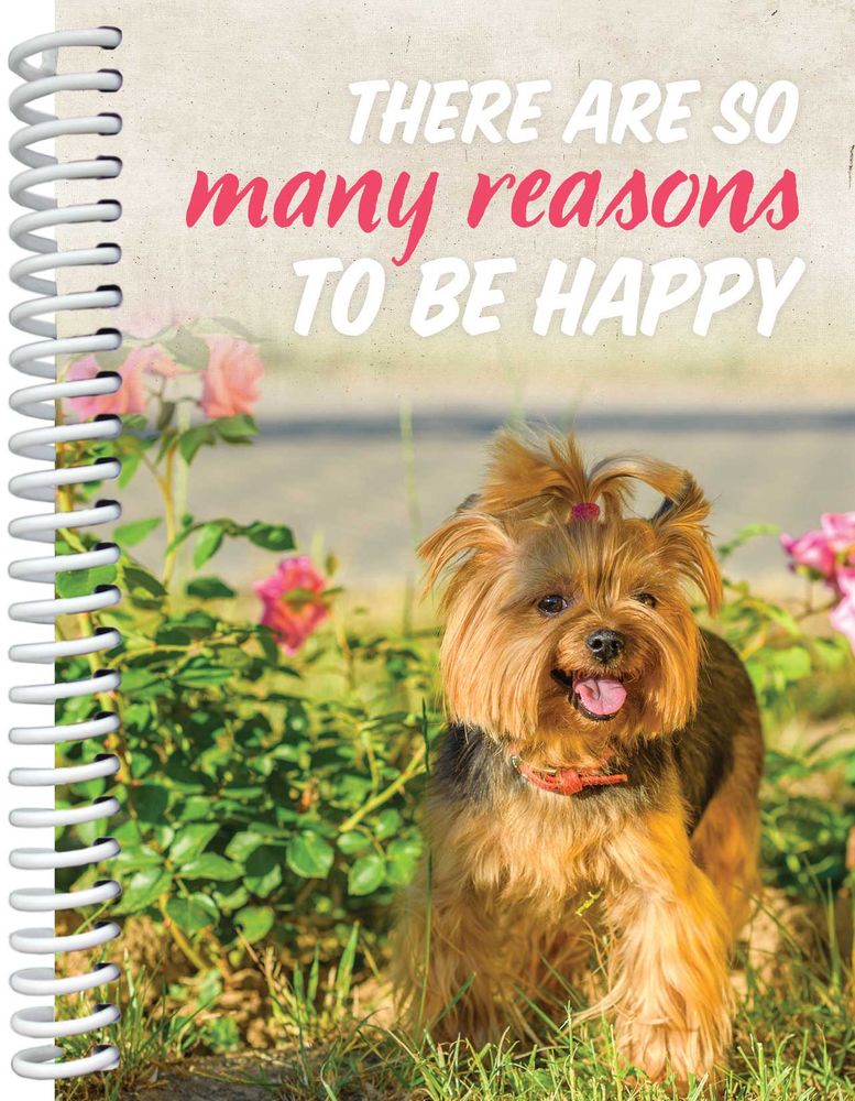 602-0988 Product Image 1