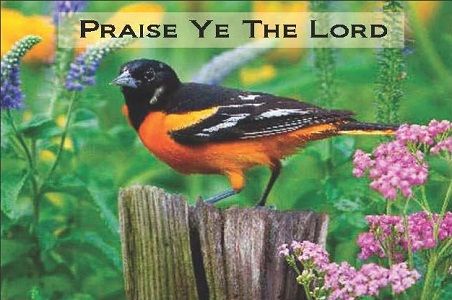 602-1018 Product Image 1