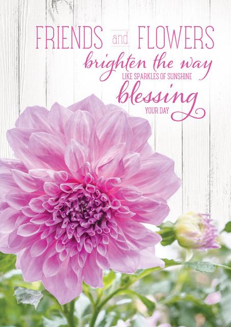 Product 604-0152 - View 1 604-0152 Product Image 1