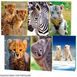 Portfolio Wildly Cute Asst