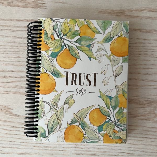 615-1006 Product Image 1