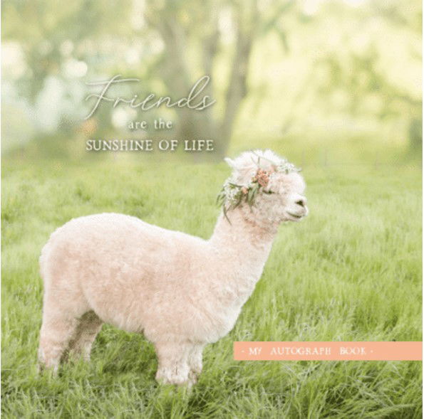 615-1121 Product Image 1