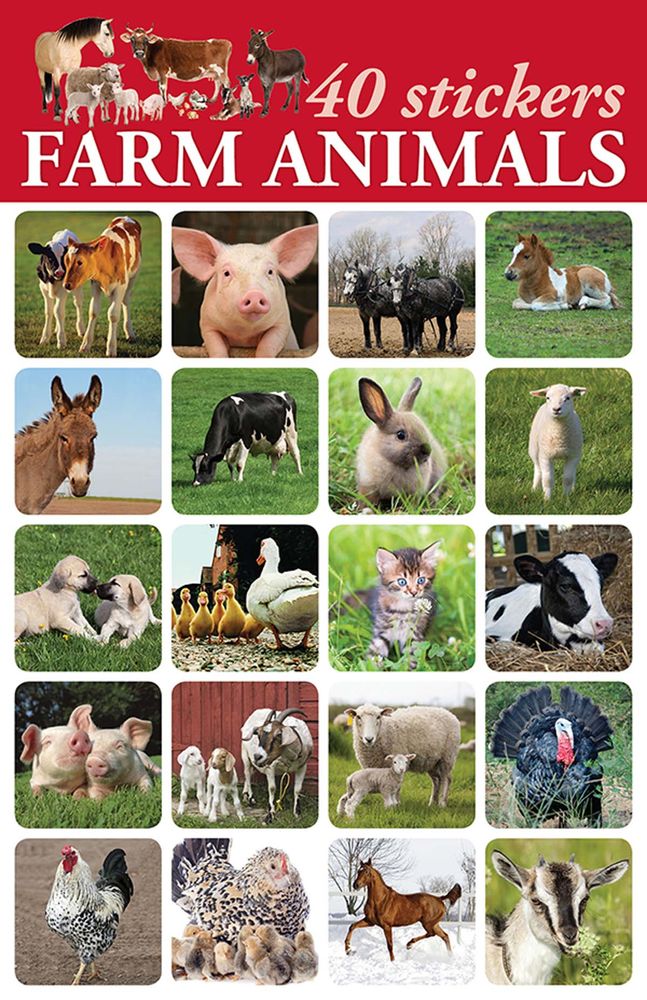 616-0535 Product Image 1