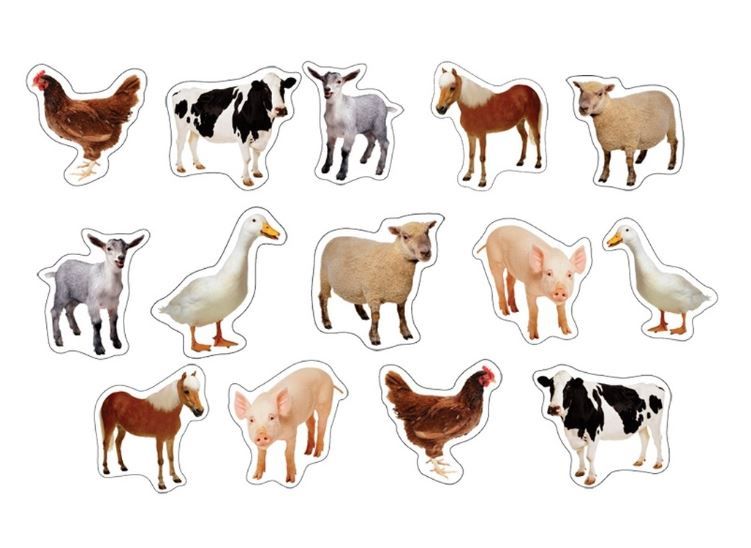 616-0780 Product Image 1