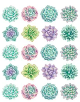 Stickers Rustic Bloom Succulents