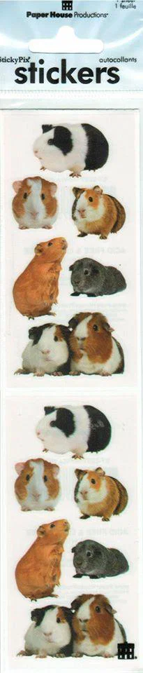 Stickers Guinea Pigs