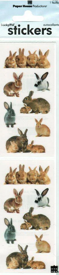 Stickers Bunnies