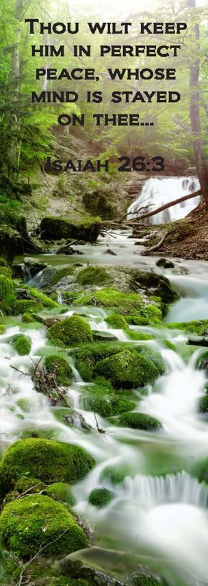 Product 617-0005 - View 1 617-0005 Product Image 1