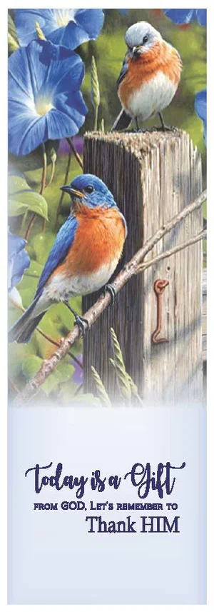 Bookmark Bluebird NA