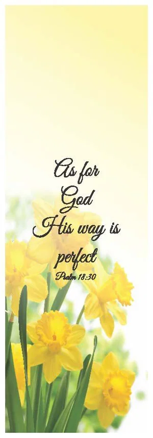 Bookmark His Way Is Perfect