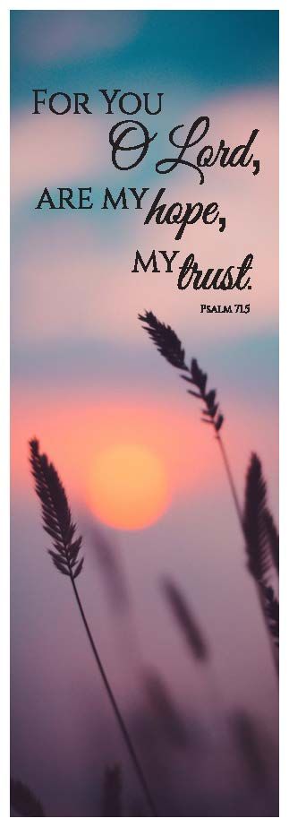 617-0022 Product Image 1