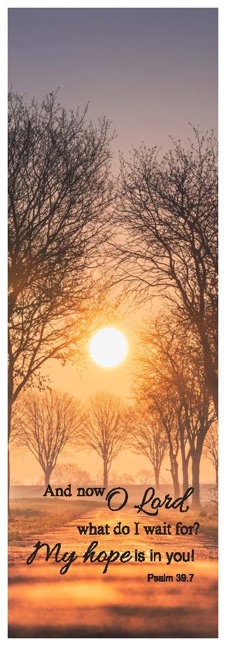 Product 617-0023 - View 1 617-0023 Product Image 1