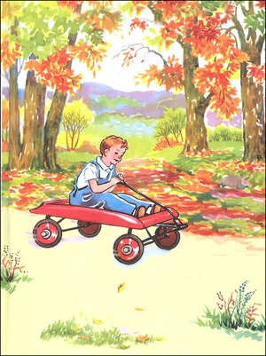 Anything Can Happen Grade 1 Book 7 Alice & Jerry Series