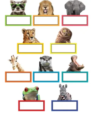 Go Wild Animals Accents