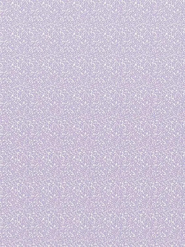 618-1389 Product Image 2