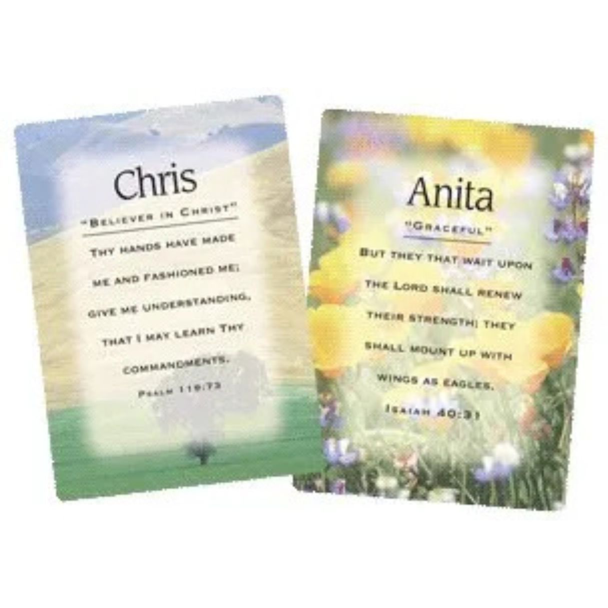 618-2099 Product Image 2