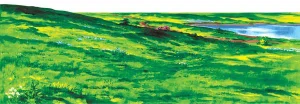 Meadow Overlay - Small - Felt Set