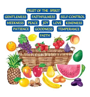 Fruit of the Spirit Felt Set Precut
