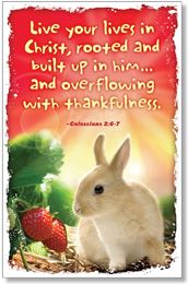 Product 618-2340 - View 2 618-2340 Product Image 2