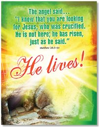 Product 618-2346 - View 2 618-2346 Product Image 2