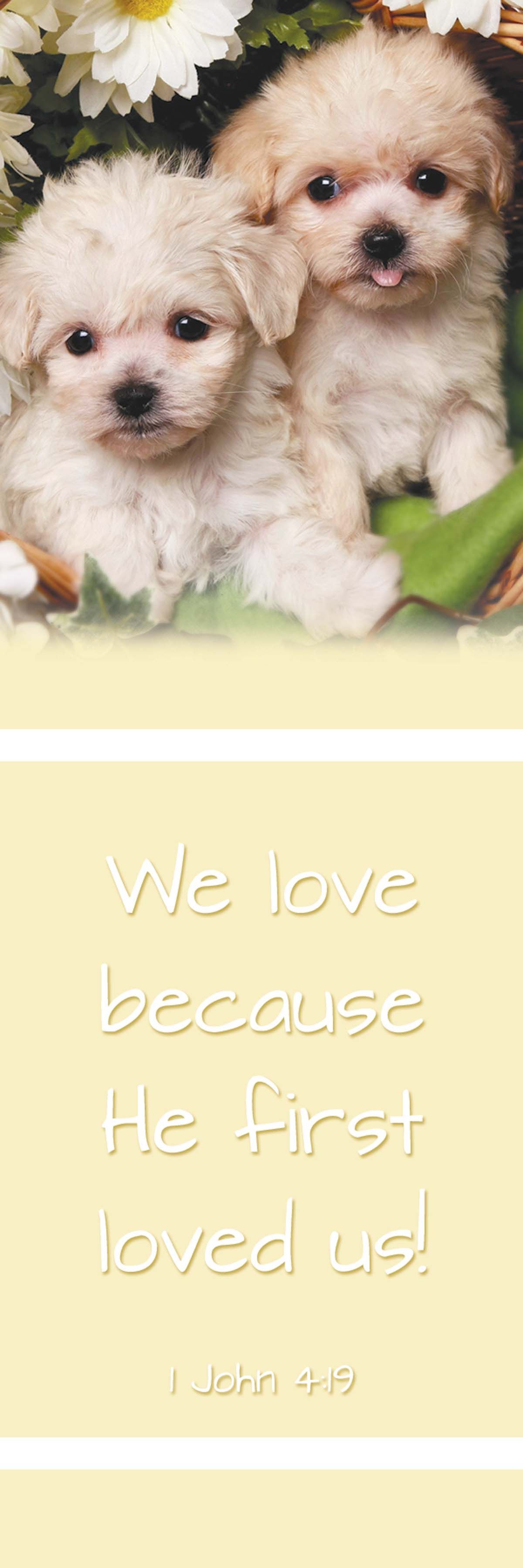 618-2790 Product Image 1