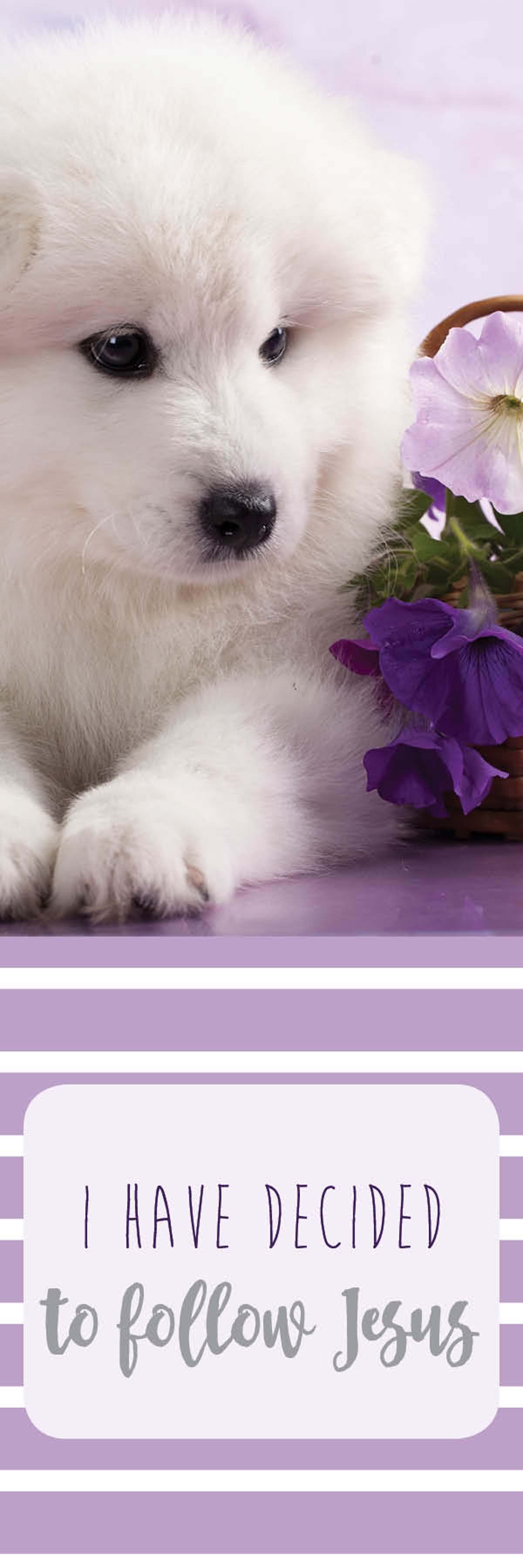 618-2943 Product Image 1