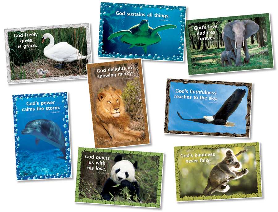 Product 618-3004 - View 1 618-3004 Product Image 1