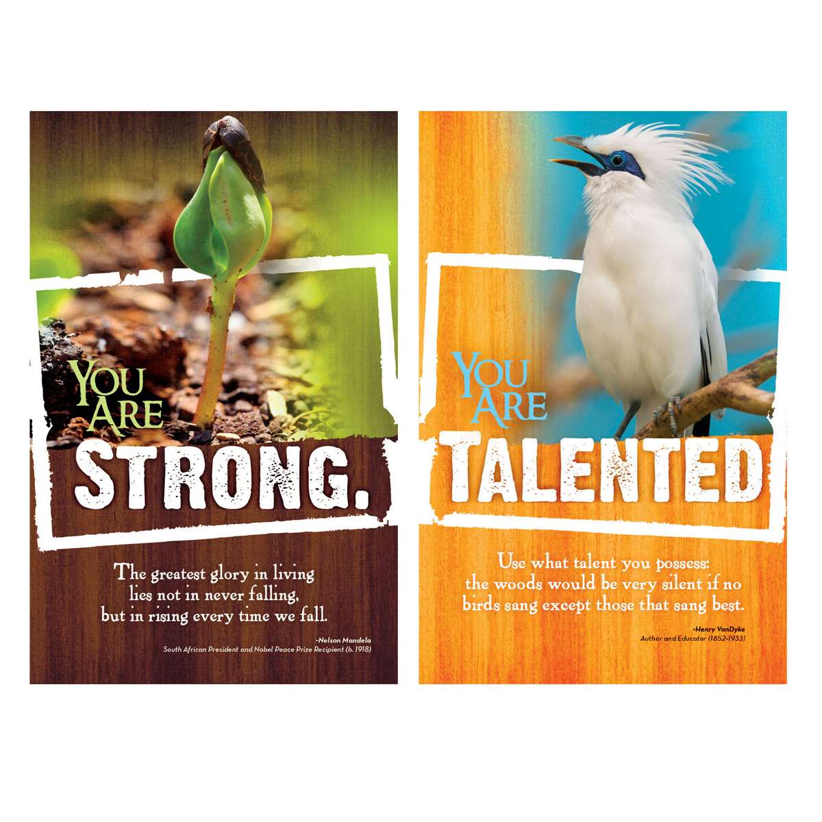 Product 618-3173 - View 4 618-3173 Product Image 4