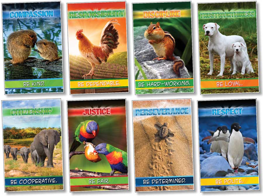 Product 618-3177 - View 2 618-3177 Product Image 2