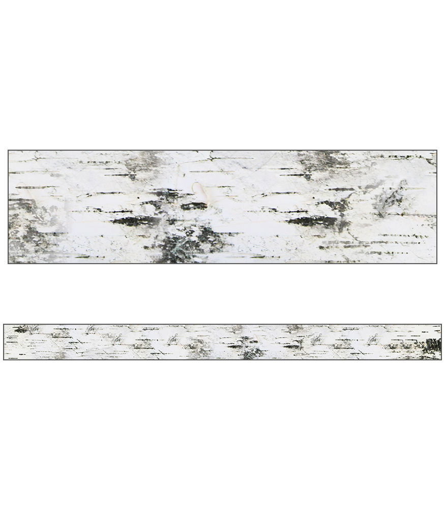 Image of Straight Borders Woodland Whimsy Birch Tree