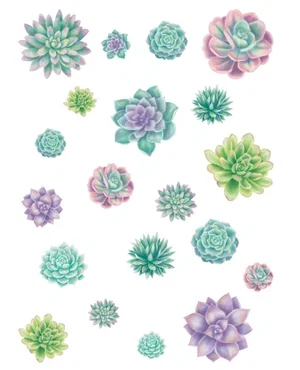 Rustic Bloom Succulent Accents- Assorted Sizes