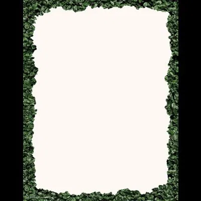 618-4038 Product Image 1
