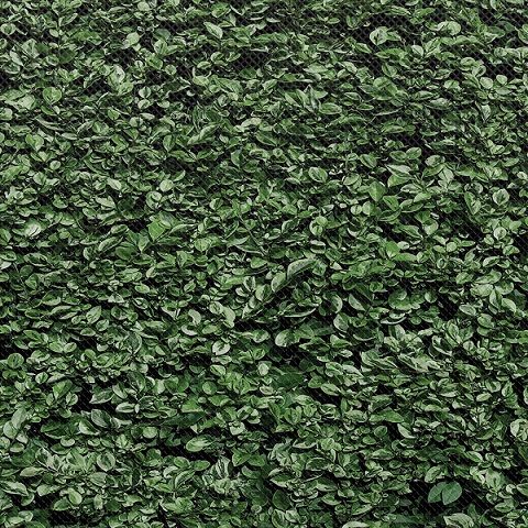 618-4100 Product Image 2