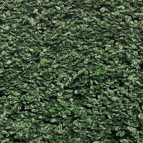 618-4100 Product Image 2