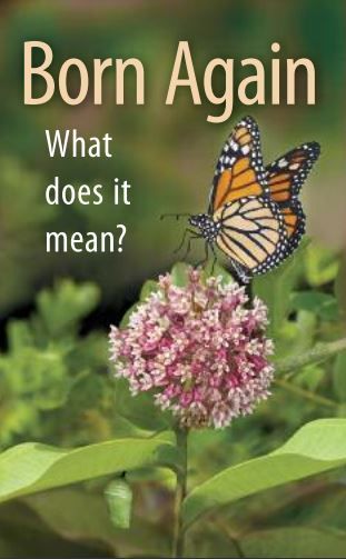 619-0138 Product Image 1