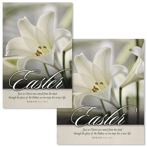 619-0223 Product Image 1