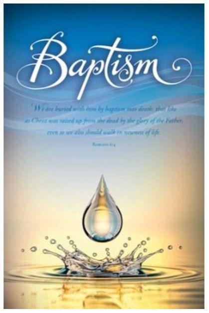 619-0504 Product Image 1